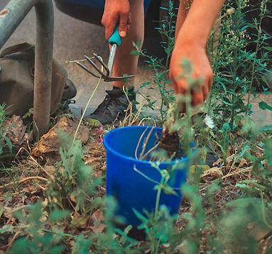 Gardening
